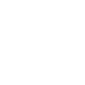 logo light